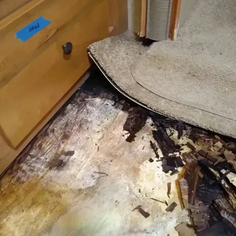 Wood Floor Water Damage in Lee County, FL